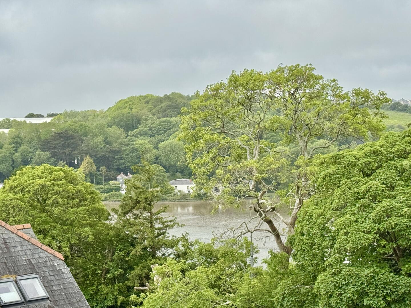 Boscawen Woods, Truro